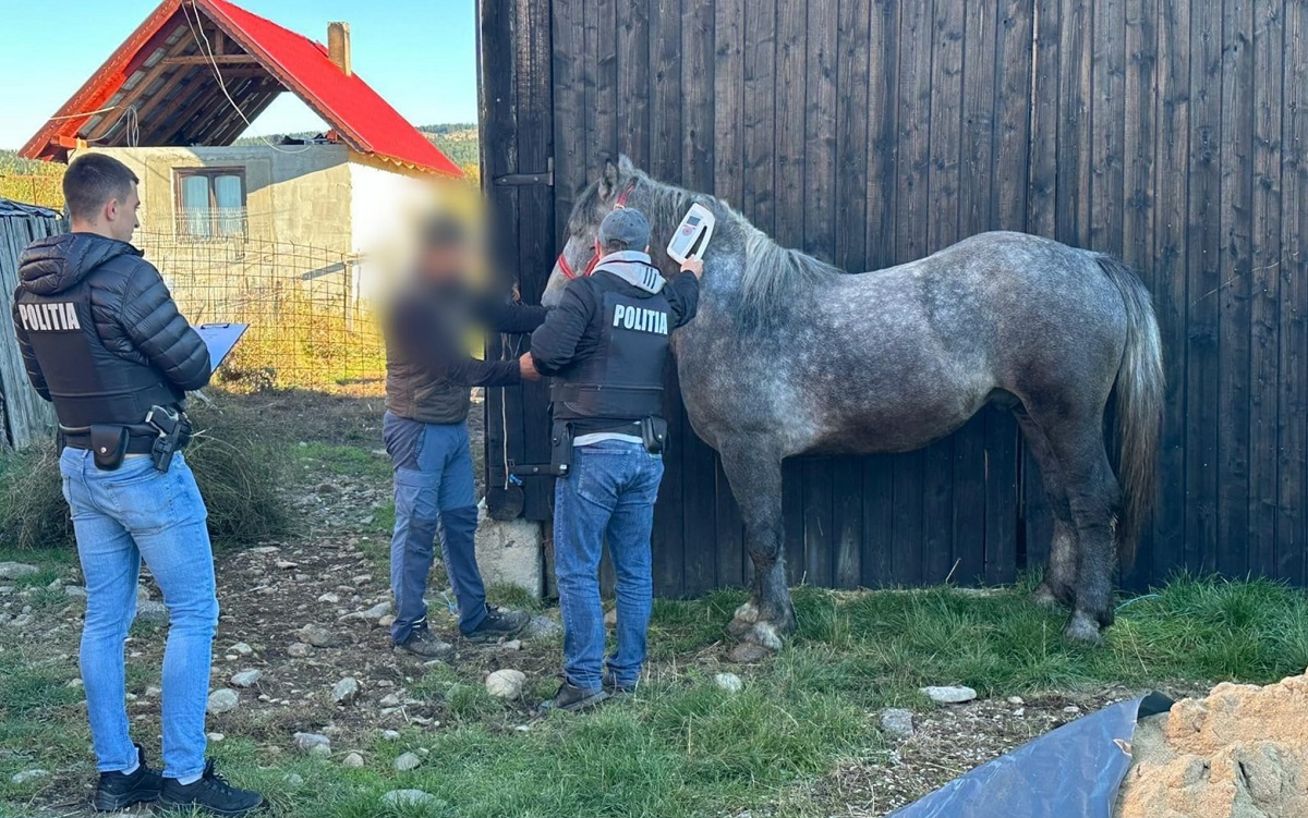 Több mint hatvanötezer lej bírságot róttak ki Szentegyházán és a környező településeken Több mint hatvanötezer lej bírságot róttak ki Szentegyházán és a környező településeken